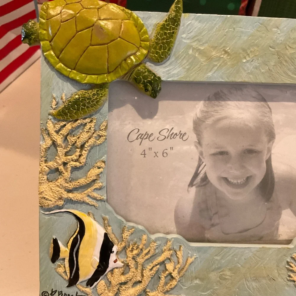 Cape Shore Picture Frame Beach - Picture 9 of 14